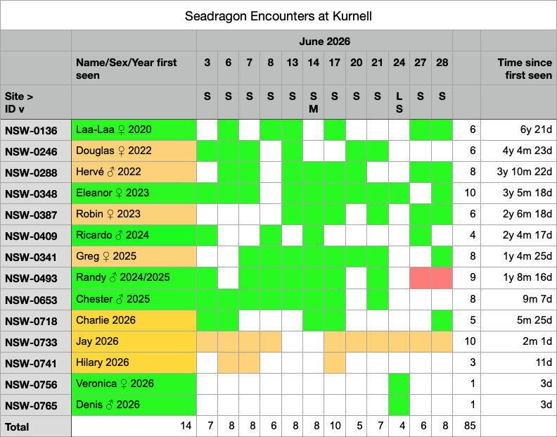 Kurnell Seadragon Encounters - June 2026